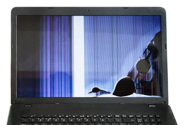 Laptop Screen Repair in Adelaide - photo 4